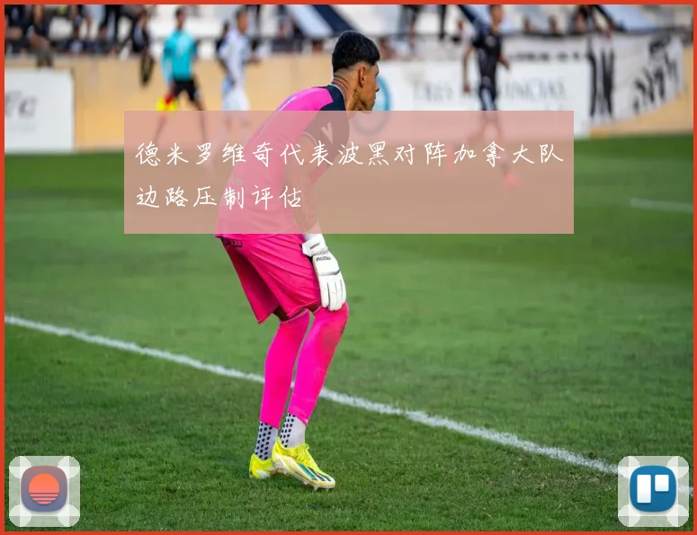 德米罗维奇代表波黑对阵加拿大队边路压制评估