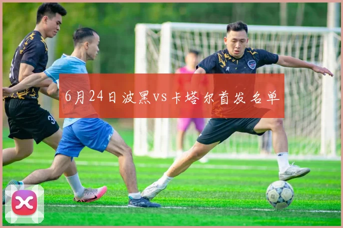 6月24日波黑vs卡塔尔首发名单